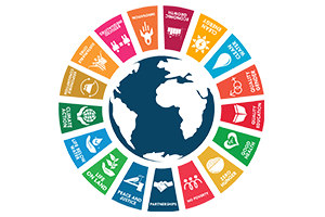 SDGs RERU