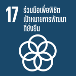SDG-17